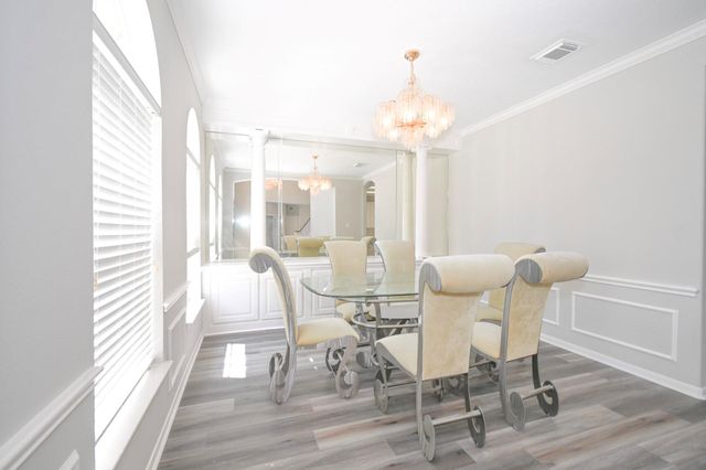 16602 Blue Vista Drive, Houston, TX 77095