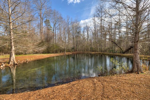 1146 Oak Grove Church Road, Manning, SC 29102