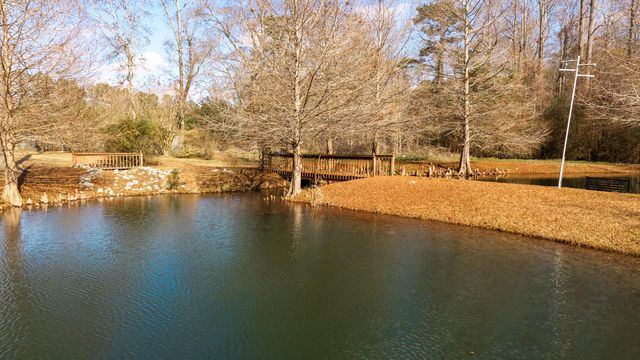 1146 Oak Grove Church Road, Manning, SC 29102