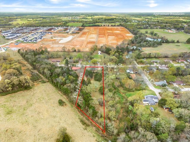 700 Amy Street, Canton, TX 75103