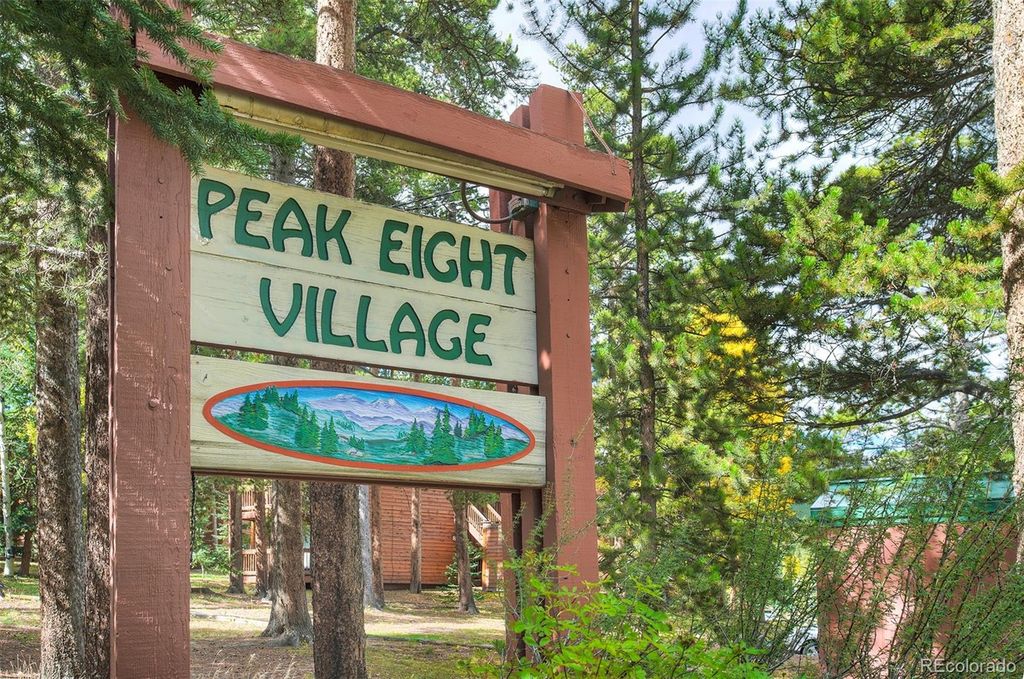 1080 Ski Hill Road 9, Breckenridge, CO 80424