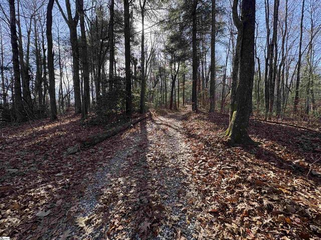 10 Rhetts Ridge, Zirconia, NC 28790