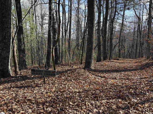 10 Rhetts Ridge, Zirconia, NC 28790