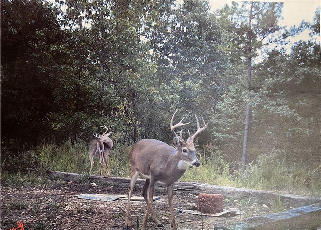 TBD Jims Trail, Rogers, AR 72756