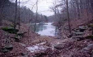 TBD Jims Trail, Rogers, AR 72756