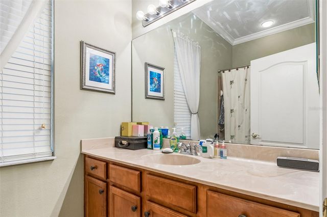 23305 GRACEWOOD CIRCLE, Land O Lakes, FL 34639