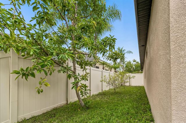 23305 GRACEWOOD CIRCLE, Land O Lakes, FL 34639