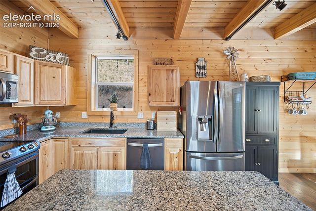 213 Willow Road, Divide, CO 80814
