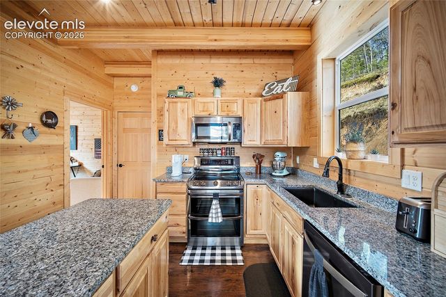 213 Willow Road, Divide, CO 80814