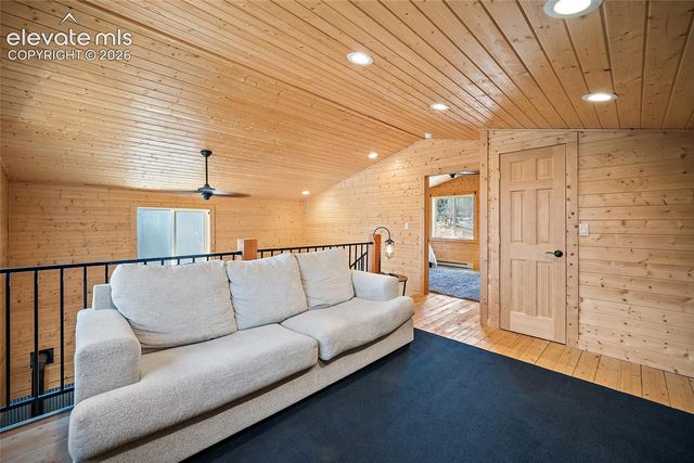 213 Willow Road, Divide, CO 80814