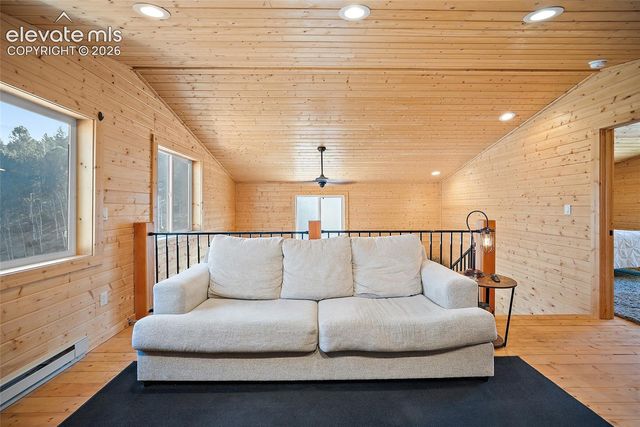213 Willow Road, Divide, CO 80814