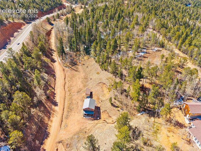 213 Willow Road, Divide, CO 80814