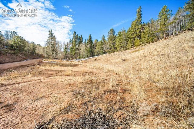 213 Willow Road, Divide, CO 80814