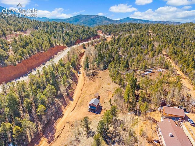 213 Willow Road, Divide, CO 80814