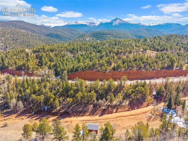 213 Willow Road, Divide, CO 80814
