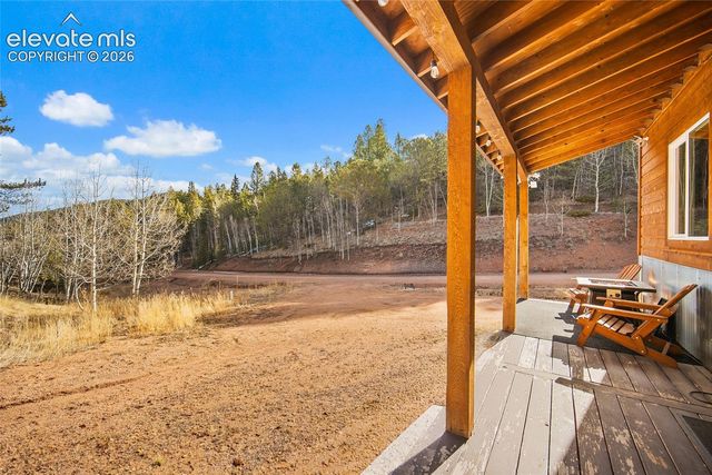 213 Willow Road, Divide, CO 80814