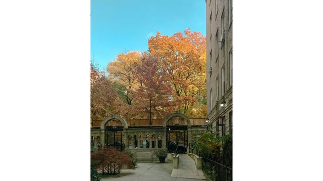 811 WALTON Avenue B15, New York City, NY 10451