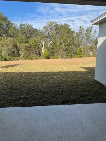 788 SUNSHOWER DRIVE, Lady Lake, FL 32159