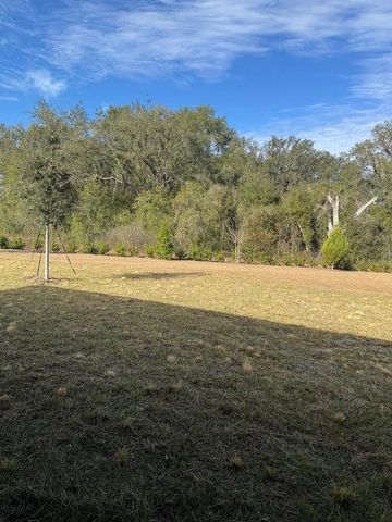 788 SUNSHOWER DRIVE, Lady Lake, FL 32159