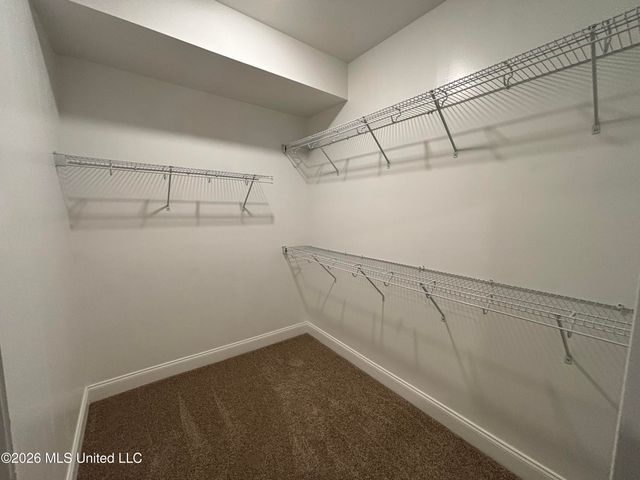 6106 River Birch Road, Walls, MS 38680