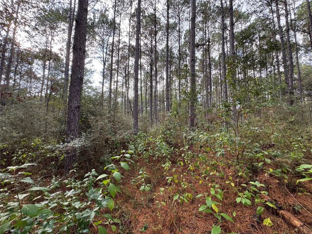 64-22-12 Granite Road, Huntsville, TX 77340