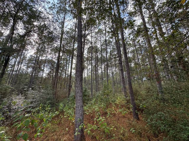 64-22-12 Granite Road, Huntsville, TX 77340