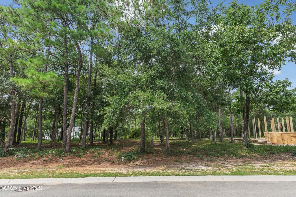 2010 Ferry Landing Drive, Supply, NC 28462