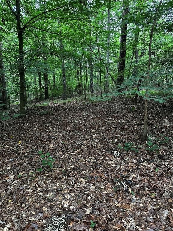 0 Ayers Rd, Bowdon, GA 30108
