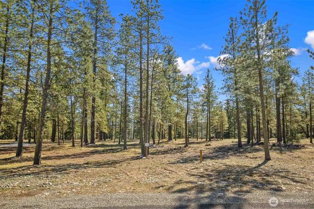 38 Wanawish Loop, Cle Elum, WA 98922