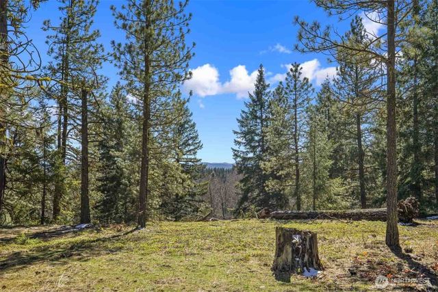 38 Wanawish Loop, Cle Elum, WA 98922