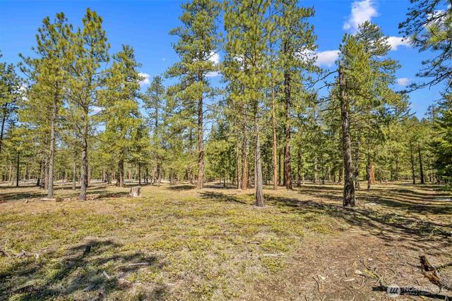 38 Wanawish Loop, Cle Elum, WA 98922
