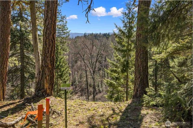 38 Wanawish Loop, Cle Elum, WA 98922