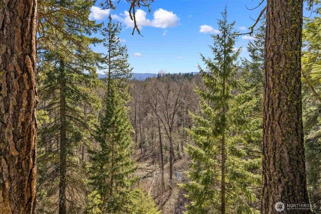 38 Wanawish Loop, Cle Elum, WA 98922