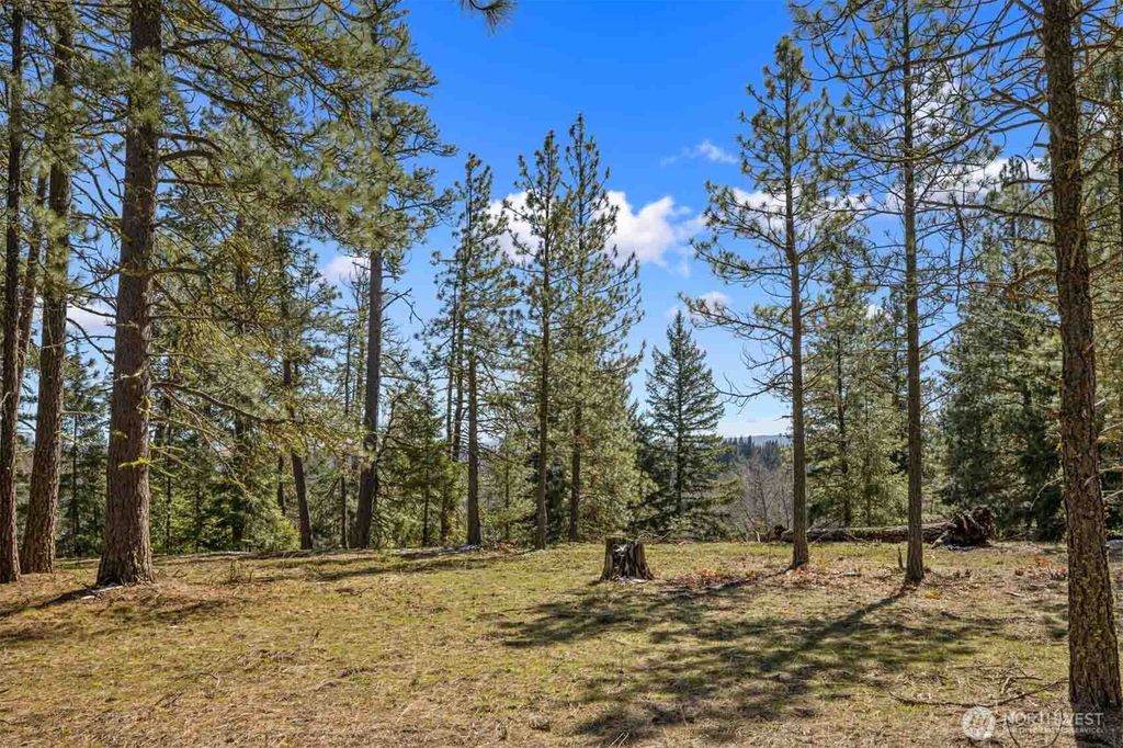 38 Wanawish Loop, Cle Elum, WA 98922