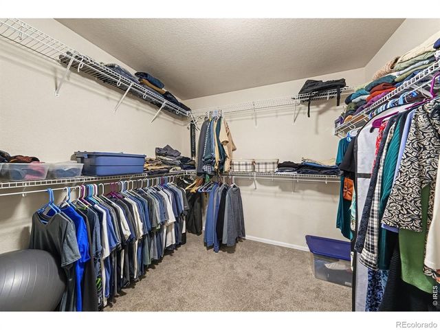 11655 Victor Drive, Longmont, CO 80504
