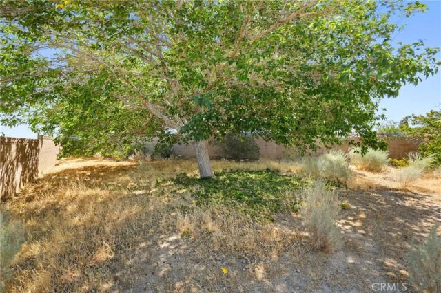 39144 Whiteash Drive, Palmdale, CA 93551