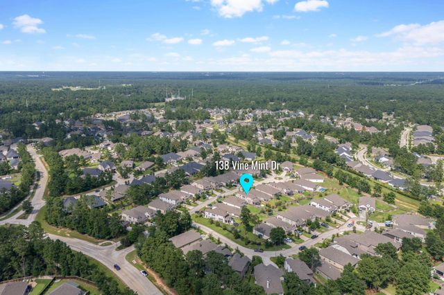 138 Vine Mint Drive, Montgomery, TX 77316