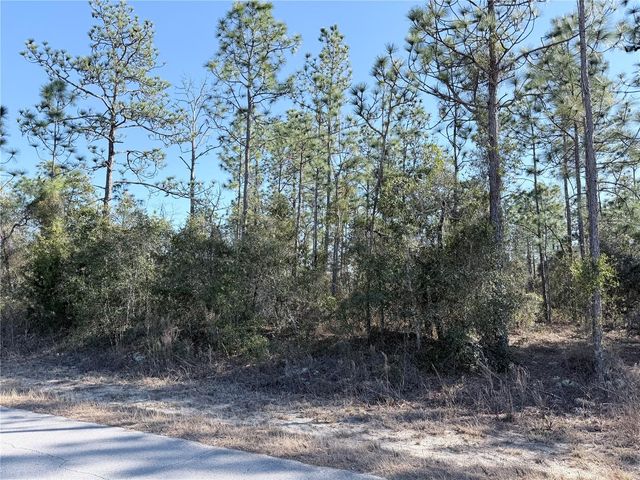 0 SW EDGEWATER BLVD, Dunnellon, FL 34431