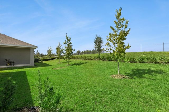 1952 SUNSHINE PEAK DRIVE, Minneola, FL 34715