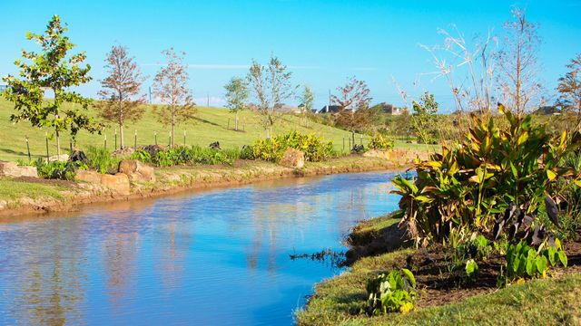 2110 Turtle Duck Drive, Richmond, TX 77469