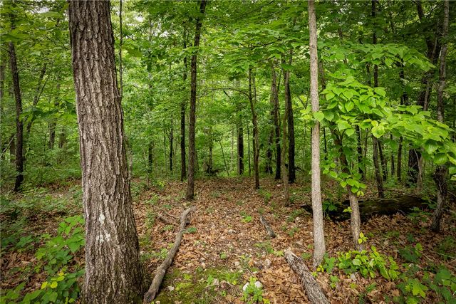 48 Brentwood Drive, Bella Vista, AR 72715