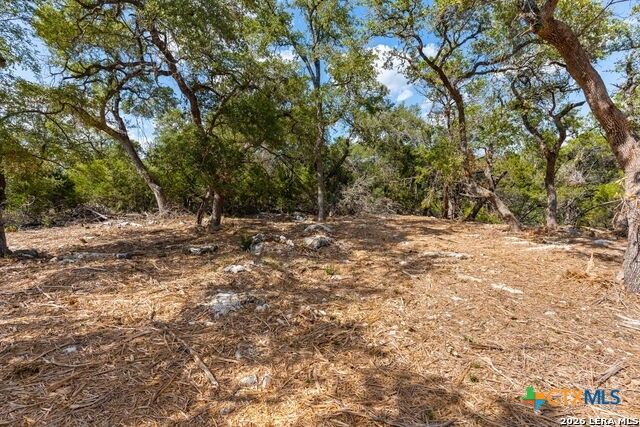 1468 Stahlman Way, New Braunfels, TX 78132