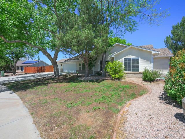 874 Henry Circle, Fruita, CO 81521