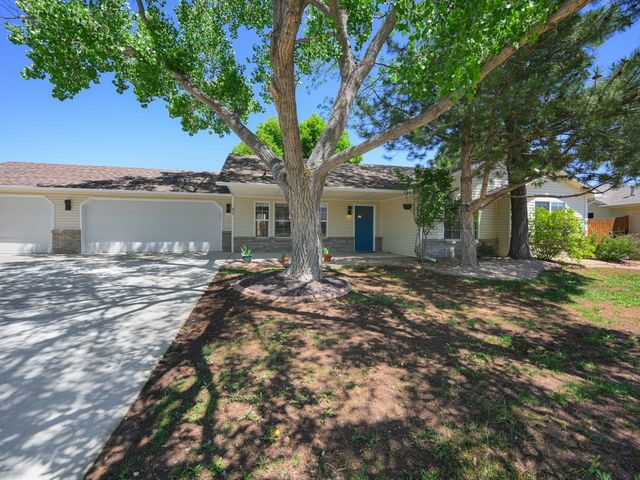 874 Henry Circle, Fruita, CO 81521