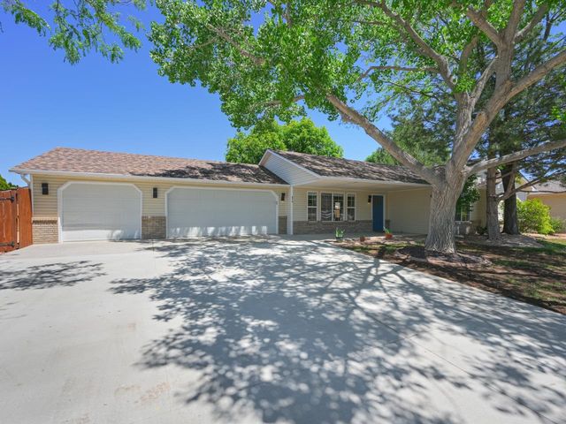 874 Henry Circle, Fruita, CO 81521