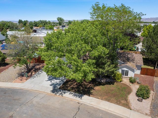 874 Henry Circle, Fruita, CO 81521