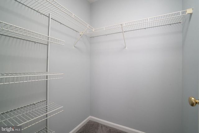 902 BLAKNEY LN SE, Washington, DC 20032