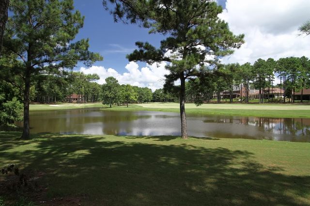 26 Winthrop Harbor Court, Montgomery, TX 77356
