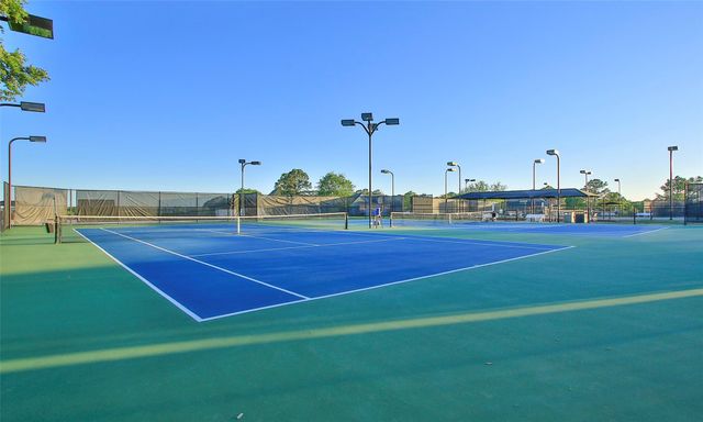 26 Winthrop Harbor Court, Montgomery, TX 77356