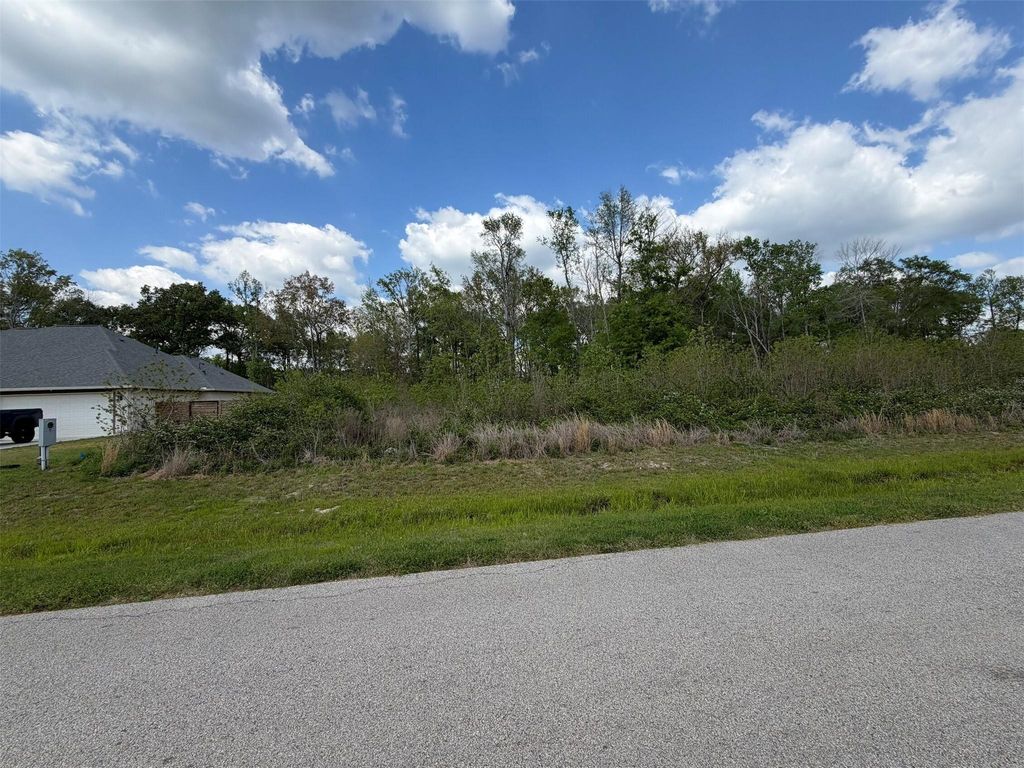 92 County Road 6615, Dayton, TX 77535